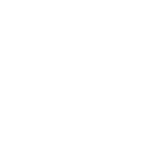 Case Icon